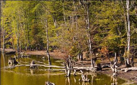 گزارش تصویری از دریاچه الندان