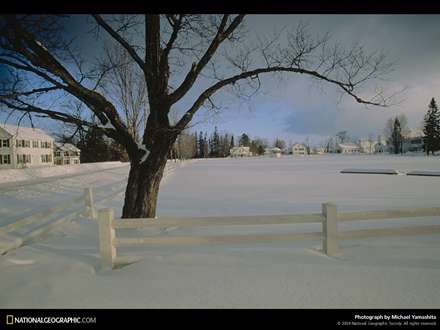 زميني برف گرفته