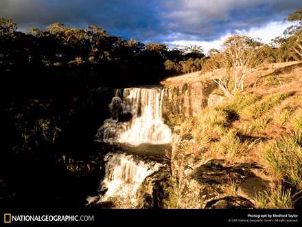 يك آبشار زيبا در جنگل