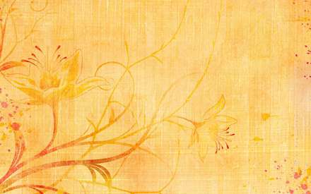 گل های زیبا