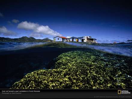نمایی از زیر و روی آب