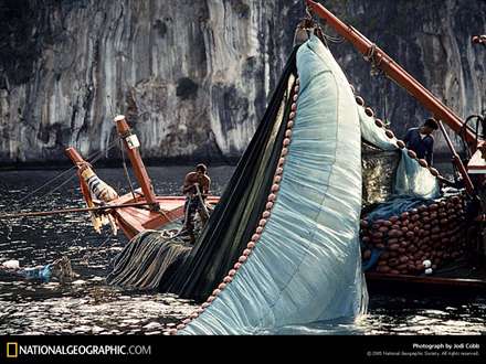 ماهيگيري با تور بزرگ