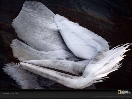 يك تن پوش پشمي سفيد