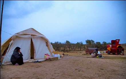 سرما در مناطق زلزله زده اهر و ورزقان