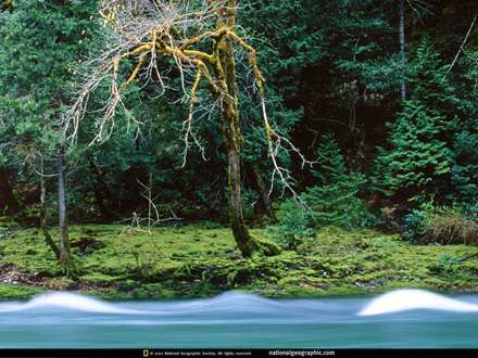 نمايي از كناره ي يك رودخانه زيبا