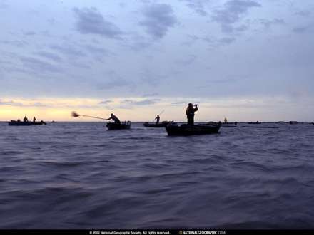 قایق های ماهیگیری در دریا