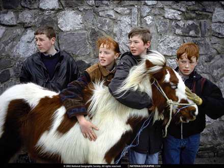 بچه ها در كنار يك اسب زيبا