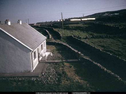 يك اسب كنار درب منزل روستايي