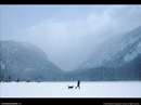 شكارچي با سگش در هواي برفي زمستان