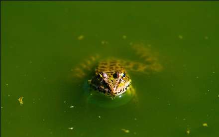گزارش تصویری از دریاچه الندان