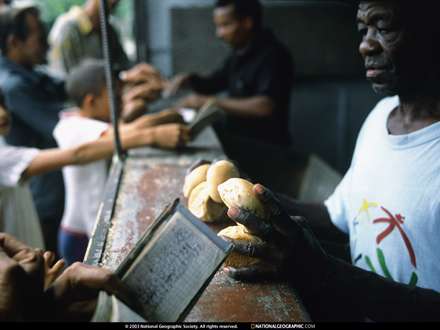 خريد در بازار