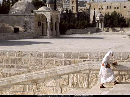 حياط مسجدالاقصي