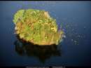 یک جزیره کوچک در میان آب
