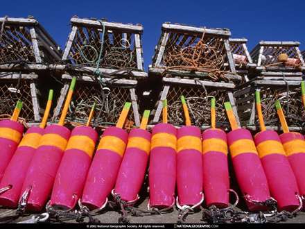 وسايل و تورهاي ماهيگيري