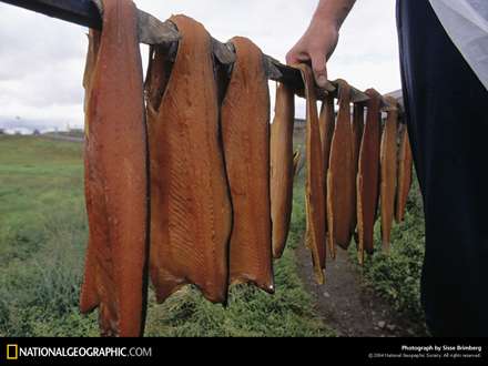 ماهيهاي پوست كنده