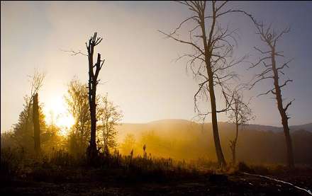 گزارش تصویری از دریاچه الندان