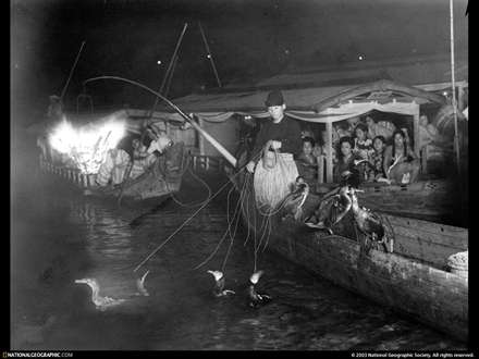 ماهيگيري با پرنده