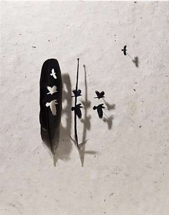 هنر نمایی بسیار زیبا با استفاده از پر