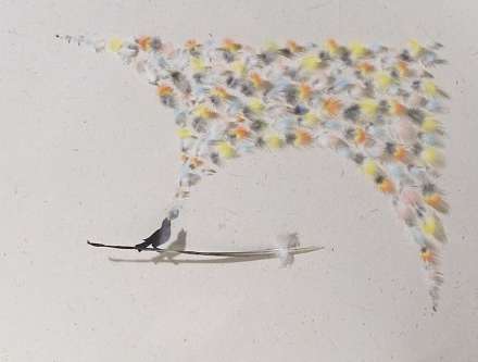 هنر نمایی بسیار زیبا با استفاده از پر