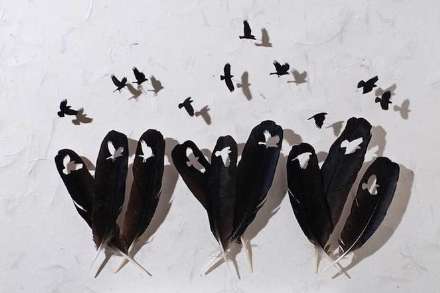 هنر نمایی بسیار زیبا با استفاده از پر