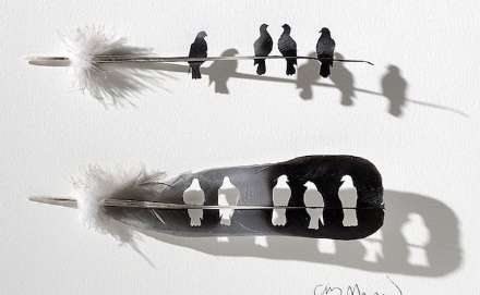 هنر نمایی بسیار زیبا با استفاده از پر