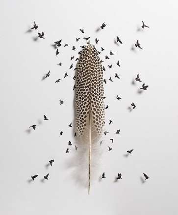 هنر نمایی بسیار زیبا با استفاده از پر