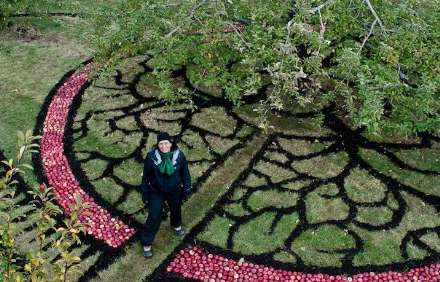 درخت هوا ، برنده رویداد هنری کبک کانادا