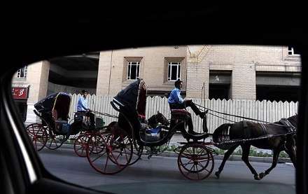 درشکه چیان میدان نقش جهان