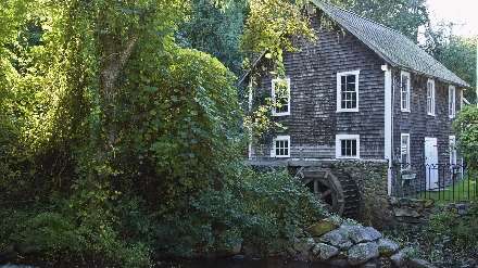 کلبه ای میان جنگل