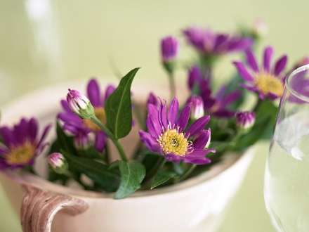 گلهاي بنفش در كاسه