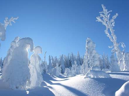 زمستان زیبا