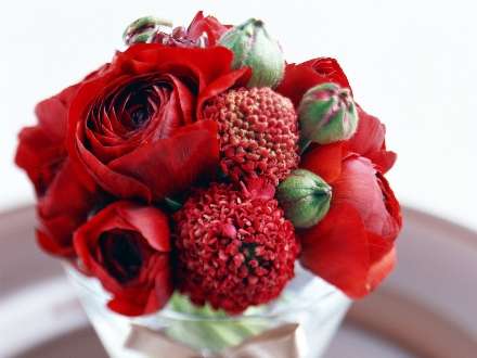 تصویر زمینه گل های قرمز