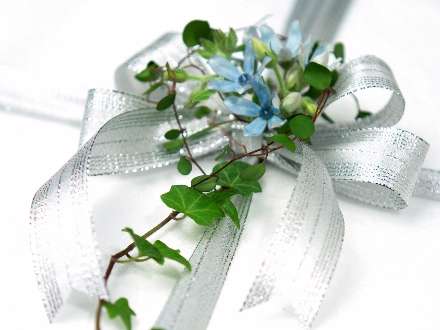 پاپیون نقره ای