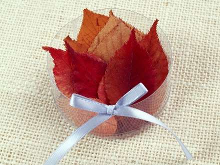 برگ های پاییزی