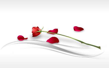 رز پرپر شده
