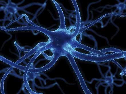 استخوان بازو