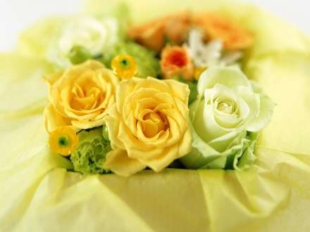 جعبه ای پر از گل های رنگارنگ