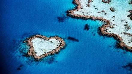 قلب دریا