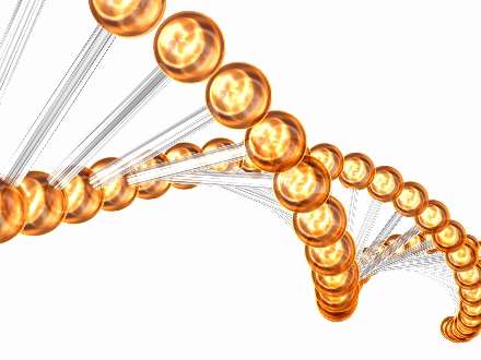 تار های عصبی