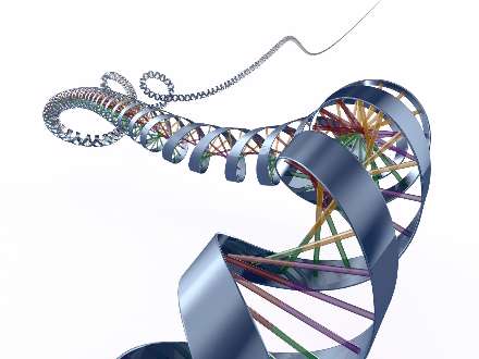 تارهای عصبی