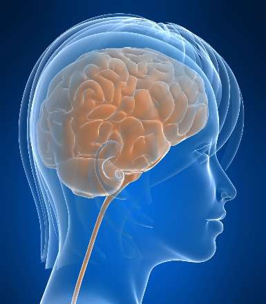 اتصال مغز زن به ستون فقرات