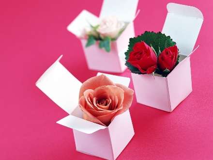 رزهای رنگارنگ