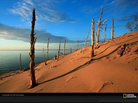 ساحل يك دريا