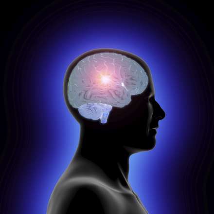 مرکز مغز انسان