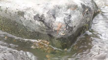 سنگ درون رودخانه