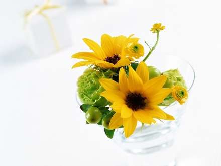 پس زمینه گل