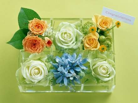 باغچه کوچک شیشه ای