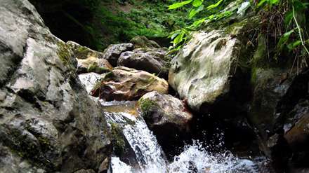 طبیعت زیبای ایران