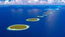 جزیره های دایره ای شکل