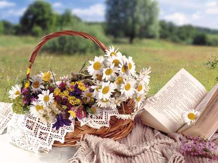 بابونه هاي سفيد و گلهاي رنگارنگ در سبد